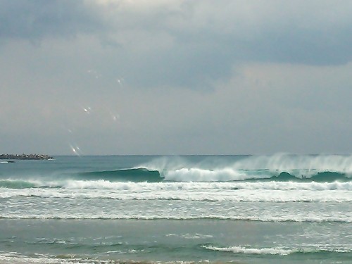 DSC_0022.JPG