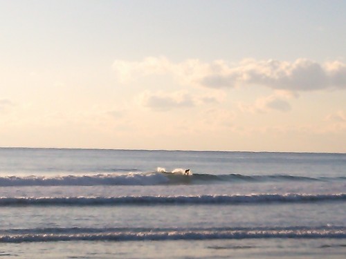 DSC_0039.JPG
