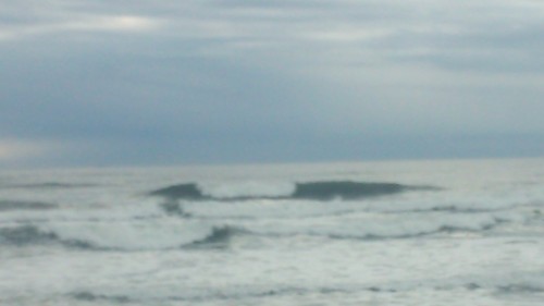 DSC_0076.JPG