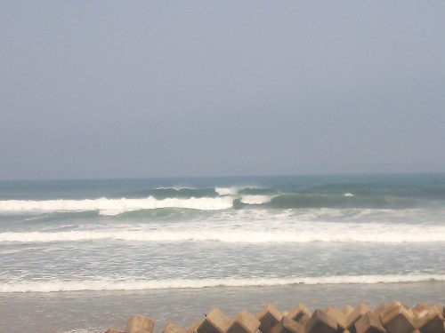 DSC_0098.JPG