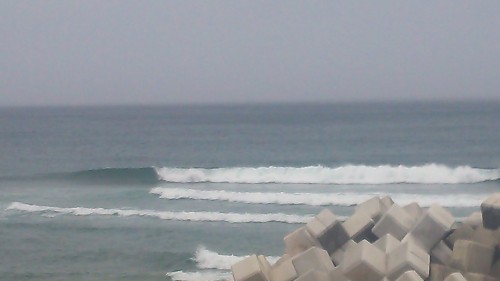 DSC_0110.JPG