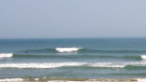 DSC_0203.JPG