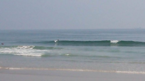 DSC_0209.JPG