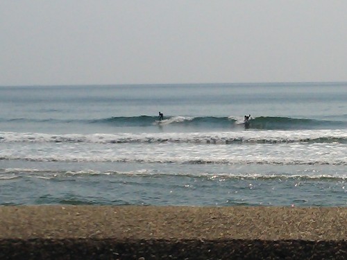 DSC_0049.JPG