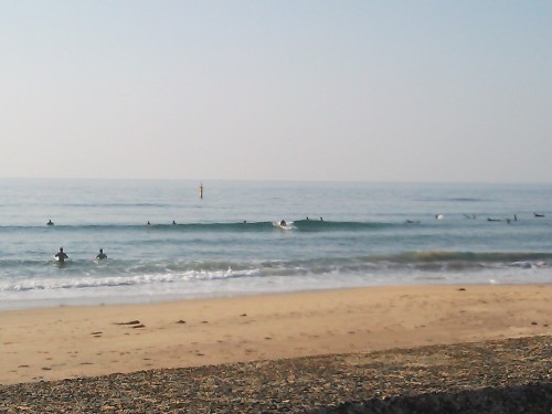 DSC_0101.JPG