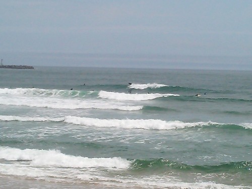 DSC_0105.JPG
