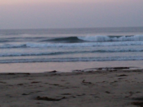 DSC_0119.JPG