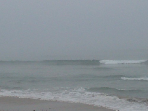 DSC_0195.JPG