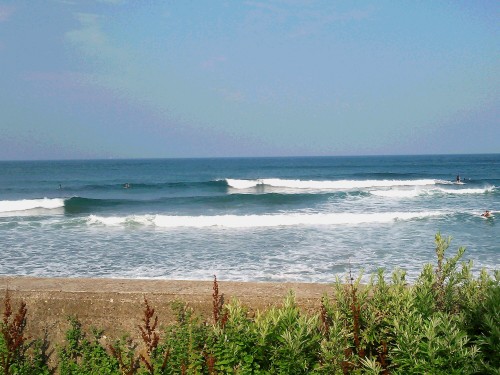 DSC_0230.JPG
