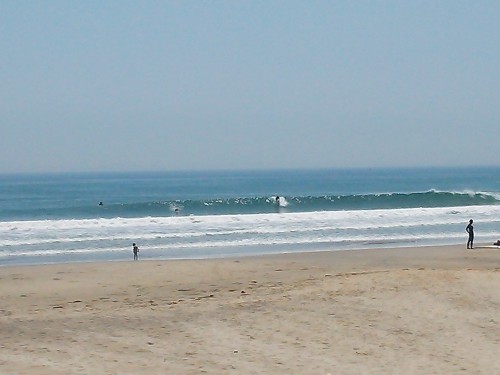 DSC_0231.JPG