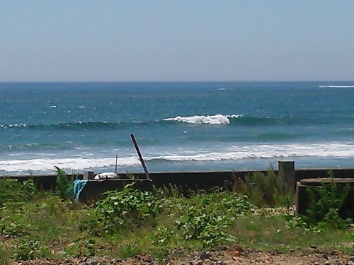 DSC_0233.JPG
