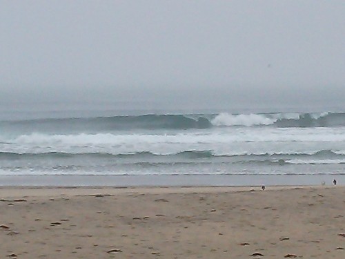 DSC_0248.JPG