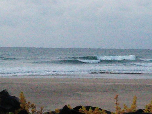 DSC_0288.JPG