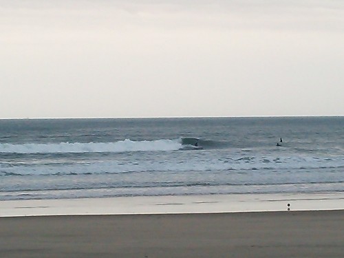 DSC_0297.JPG