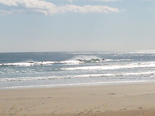 DSC_0343.JPG