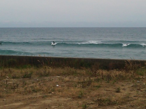 DSC_0354.JPG
