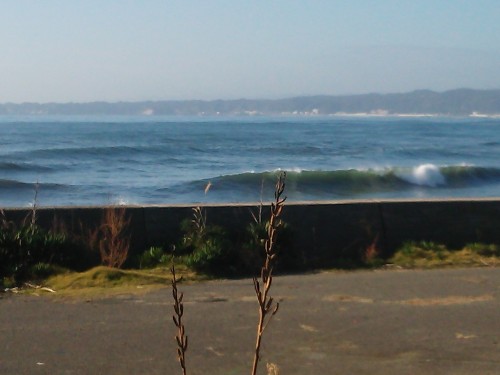 DSC_0363.JPG