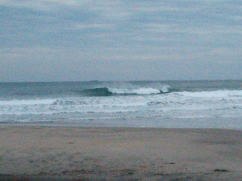 DSC_0385.JPG