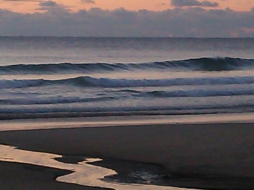 DSC_0386.JPG