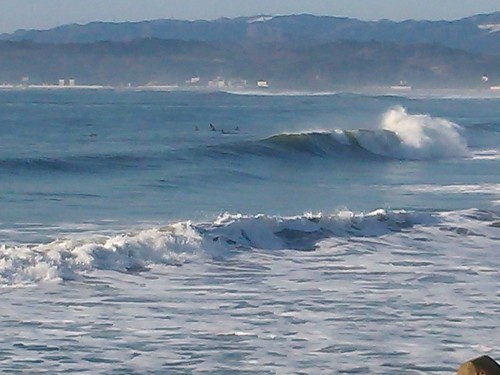 DSC_0418.JPG
