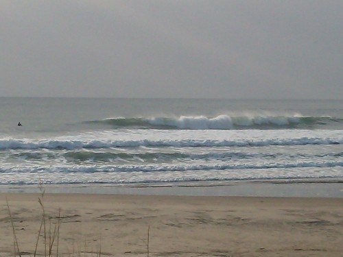 DSC_0420.JPG