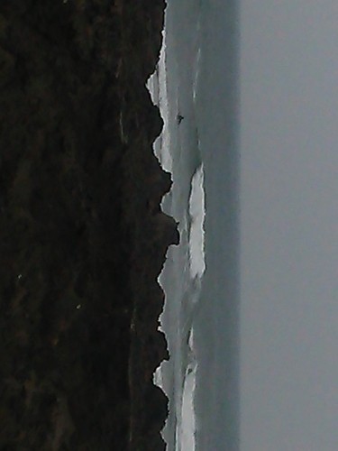 DSC_0117.JPG