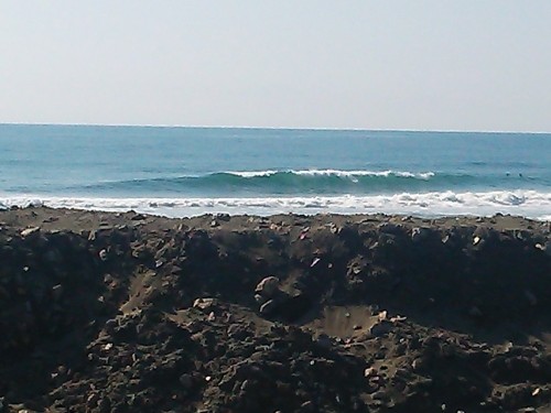 DSC_0451.JPG