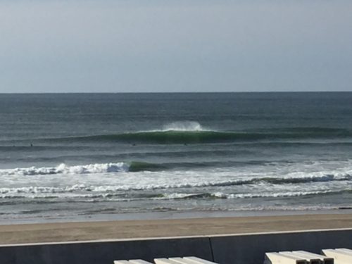 IMG_1220.JPG
